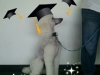 woogy-grad